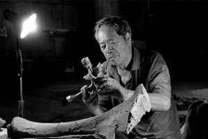 恐龙先生(中国“恐龙先生”董枝明逝世 享年87岁)