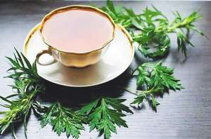 颜成(钟艾一生)