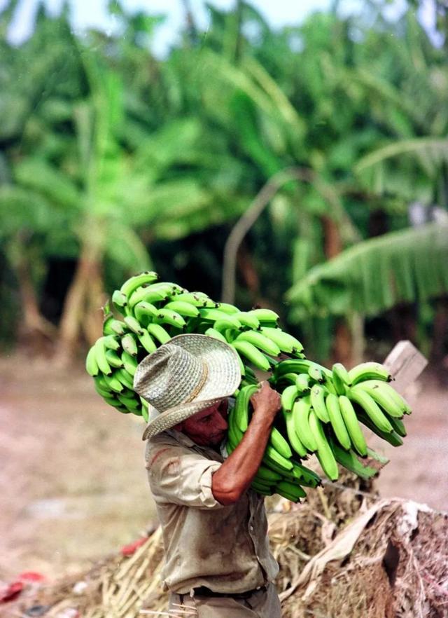 “民主峰会”惨淡开锣,美式民主极端化正给世界带来十大威胁