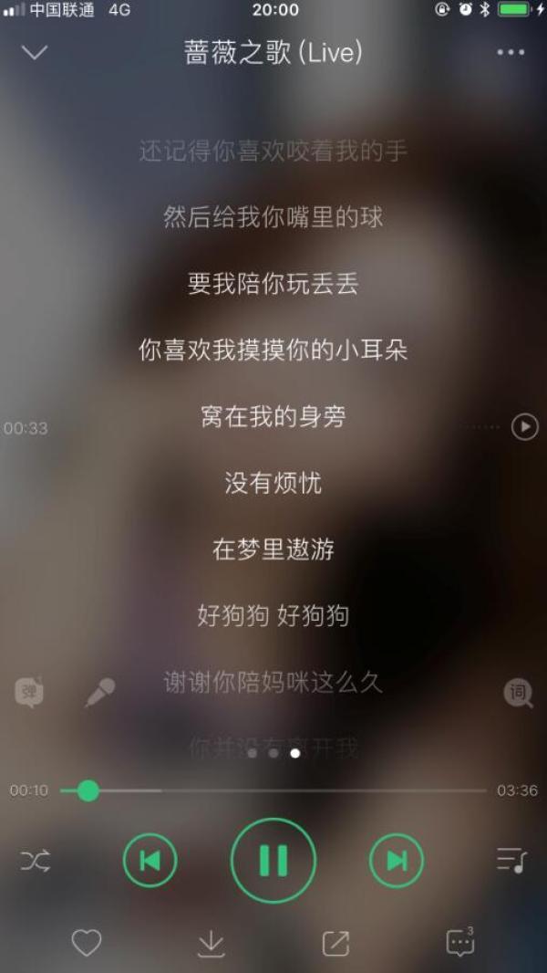 记事|18岁的狗狗安乐死后,主人把它纹在了手臂上