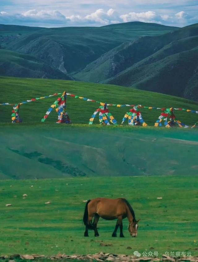 这个八月，乌兰察布非去不可！