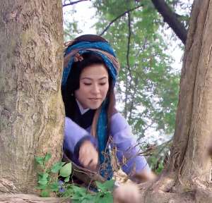 新月格格大结局(三观歪一边的古早电视剧,王宝钏秦香莲难分胜负,新月格格好气人)