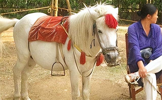 白龙马为拍摄《西游记》脱军籍，晚年惨死，杨洁导演为何见死不救