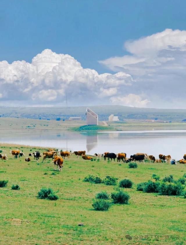 这个八月，乌兰察布非去不可！