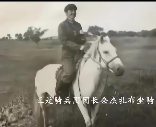 白龙马为拍摄《西游记》脱军籍，晚年惨死，杨洁导演为何见死不救