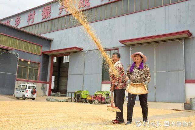 “大国农匠”薛丽娜：十余载从农无悔，她立志让农民换个活法