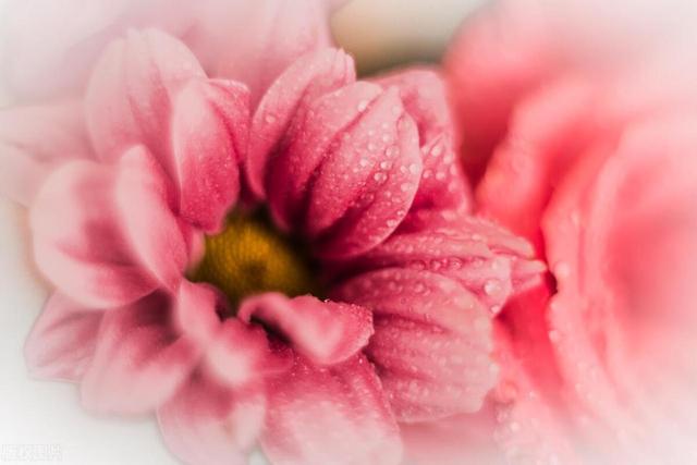 “享年”和“终年”这两个词，到底有什么区别？可千万不要用错了