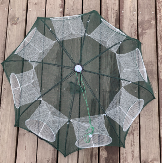 如何选择合适的虾笼?这些神器推荐给你