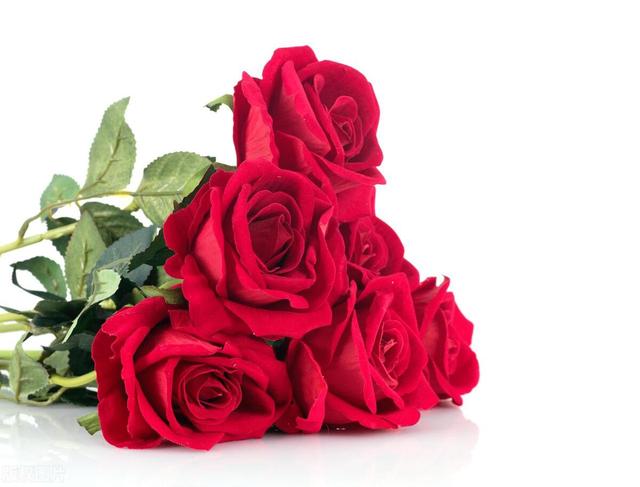 害怕失去你,宁愿宠坏你一辈子的星座男!温柔暴力,甜蜜情感牢笼