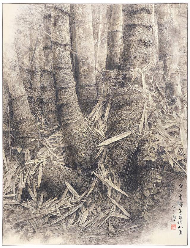 雨林植物首次展出!曾孝濂、厉槟源个展16日在昆开幕