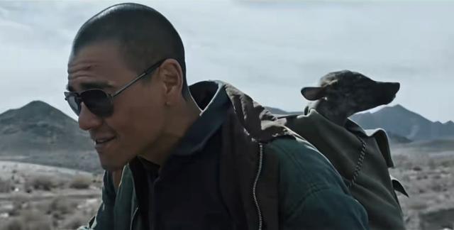 《狗阵》：彭于晏的臀，二郎神的狗，消逝的旧镇