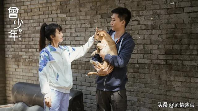 家庭剧《曾少年之小时候》:张籽沐、张开泰、郭子凡、鹤男主演