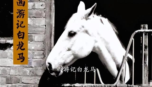 白龙马为拍摄《西游记》脱军籍，晚年惨死，杨洁导演为何见死不救