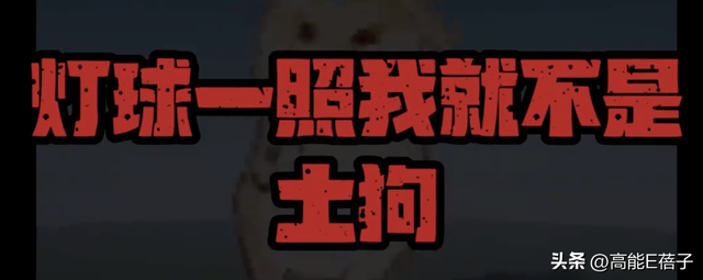哈圈过年?法老大骂“土狗”杨和苏自认“媚粉”,发生了什么?