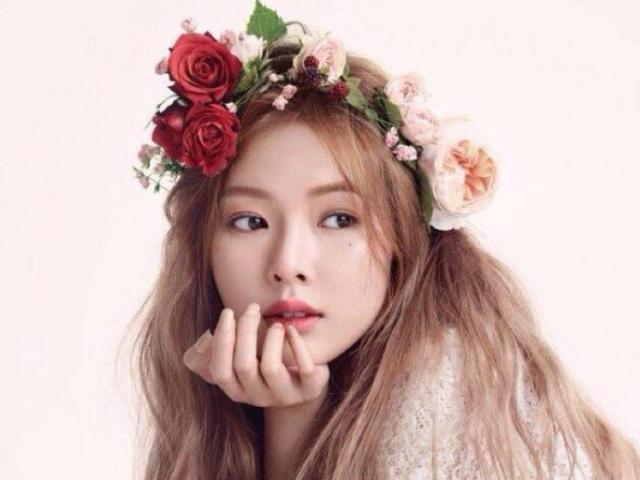 与泫雅恋情曝光遭开除，后借女友之名攀鸟叔，却因抛弃队友遭抵制