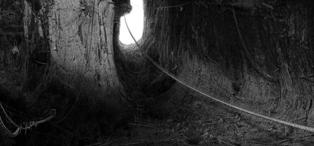 打造元宇宙艺术展厅，第九届上海青年艺博会“电量已满”