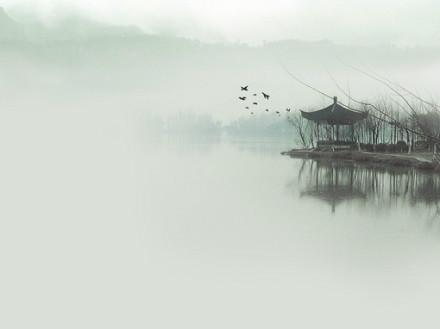 品一情浓茶韵，怀一情意禅心