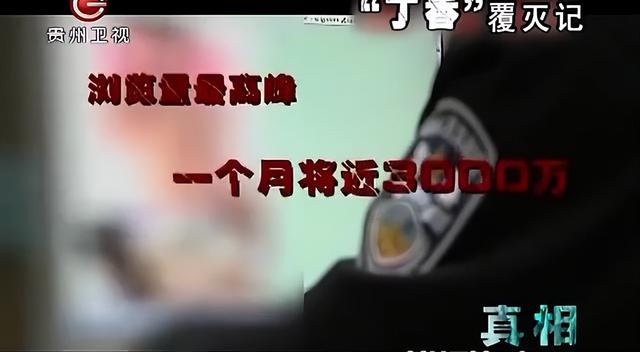 色情网站“丁香”覆灭记:7.3亿的浏览量背后,是谁在操控盈利?