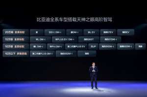 魔法飞毯(惊比亚迪智驾如何让安全与科技完美融合?)