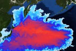 日本核(日本又“开闸”了2025年将7次排核污水,我国取样调查出结果了)