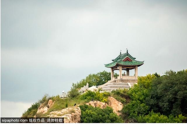 暑期去北戴河看海拾贝喂动物，乐趣满满