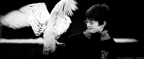 《哈利·波特》又掀热潮!名人居家隔离接力朗读原著