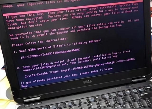 黄色网站能让你免费看的秘密，你知道你付出了多大的代价吗？