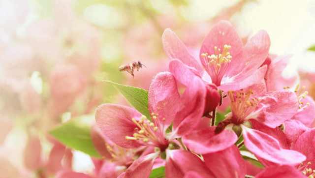 老婆出差去外地，我与岳母同住，却意外发现其不为人知的“秘密”
