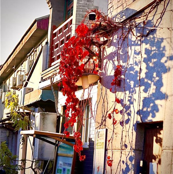 多年父子成兄弟