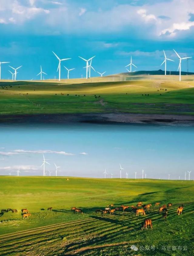 这个八月，乌兰察布非去不可！