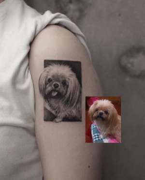 凌爸爸(记事|18岁的狗狗安乐死后,主人把它纹在了手臂上)