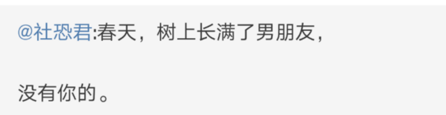 日本出了个给人用的猫窝，想当小奶猫了