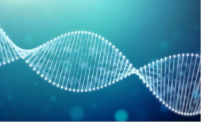 为什么有人“下面”没毛?女性私处毛发的秘密,别羞于了解