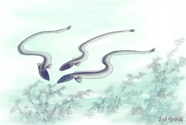 为什么有人说“蛇吃黄鳝比长短”?蛇真的不能吃黄鳝吗?