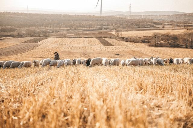 曾经的自己,可有人还记得。