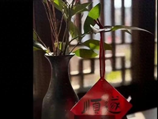 保剑锋一家安徽农村过大年，初二游灯乐融融，妻子何珈好显年轻