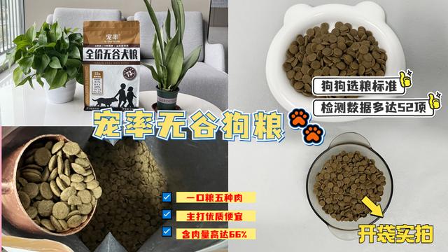 “内有恶犬”?路人好奇一瞧,笑得直不起腰!