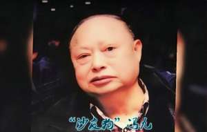 雷洛手下猪油仔原型(东联社坐馆“沙皮狗”，吕乐“御用收租佬”，70年代坐拥千万身家)