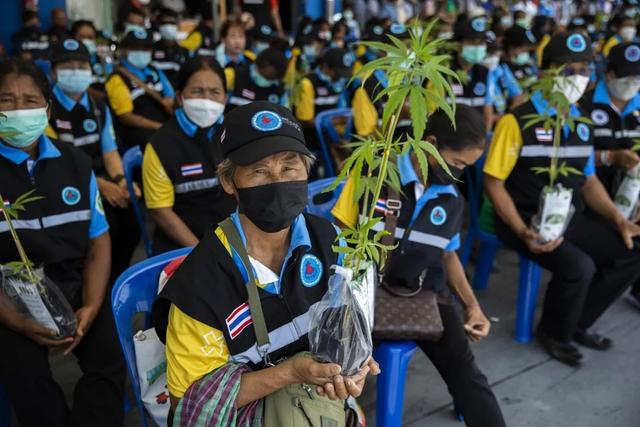 一团乱麻！泰国后悔了