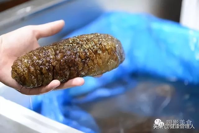 解读史上“八珍”食材