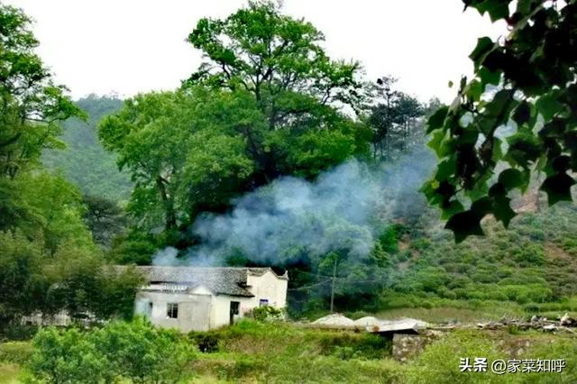 祸起萧墙（乡村家庭伦理故事）