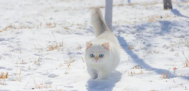 一个人的开悟需要漫长的积累