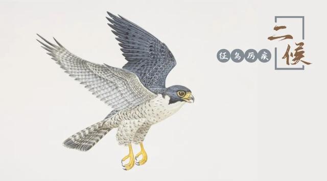 二十四节气之大寒：以冬之落幕，作春之序曲