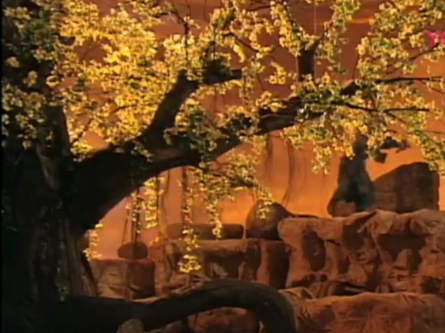 圆月弯刀里温碧霞饰演的秦可情，和原著的秦可情差别有多大？