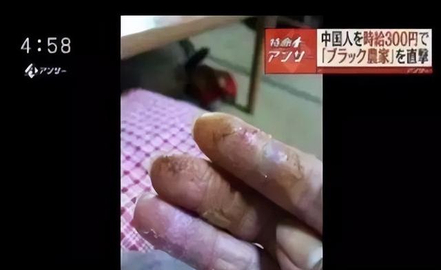 日本“现代奴隶制”又被曝光！58岁雇主天天强奸23岁柬埔寨女员工