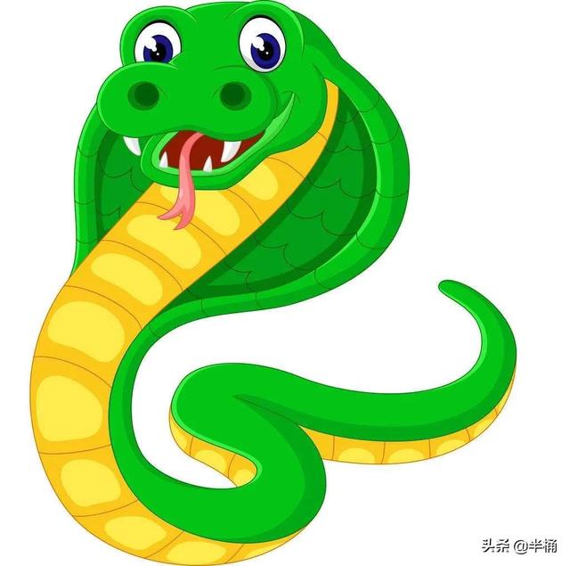 为什么有人说“蛇吃黄鳝比长短”?蛇真的不能吃黄鳝吗?