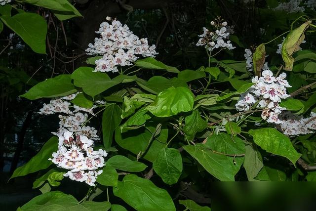 爱一个人有多深，心知道