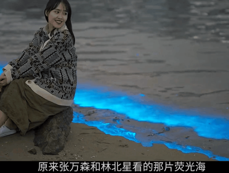 这种话张嘴就来？房琪成为点评团天花板，温柔力量说哭众多艺人