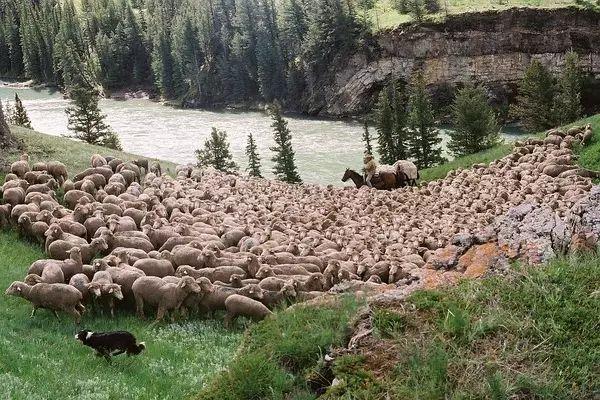 《断背山》讲的不是同性恋,而是爱