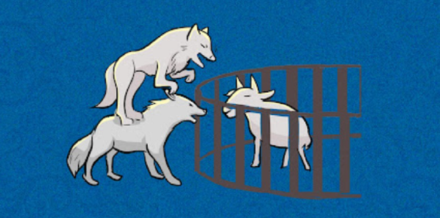 2018年美国疑似捕捉到狈？“狼狈为奸”中的狈，到底是什么动物？